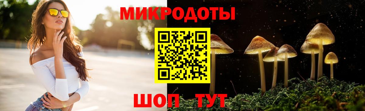 Псилоцибиновые грибы GOLDEN TEACHER  Вход с VPN  Новочебоксарск  Псилоцибиновые грибы Psilocybe 